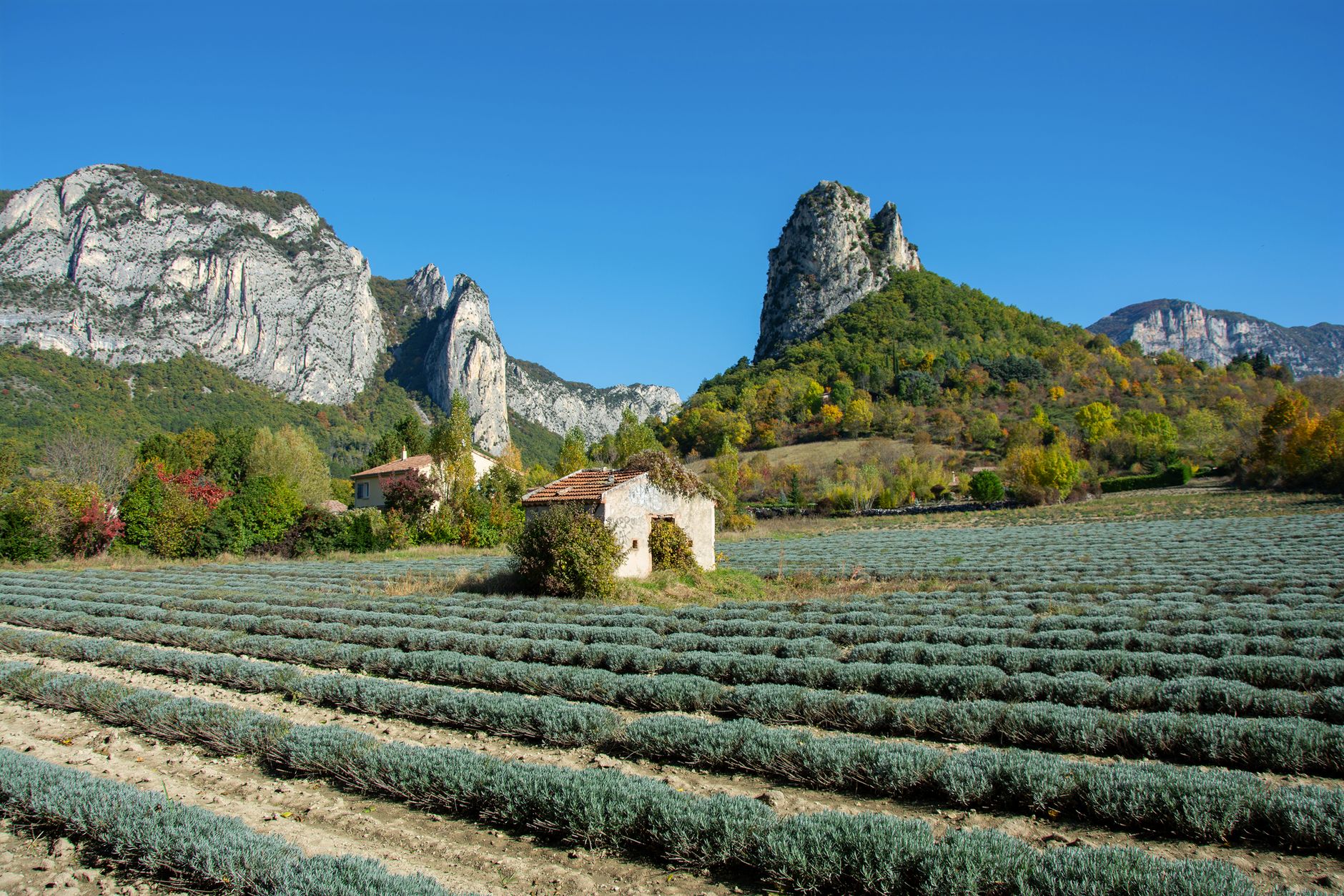 France