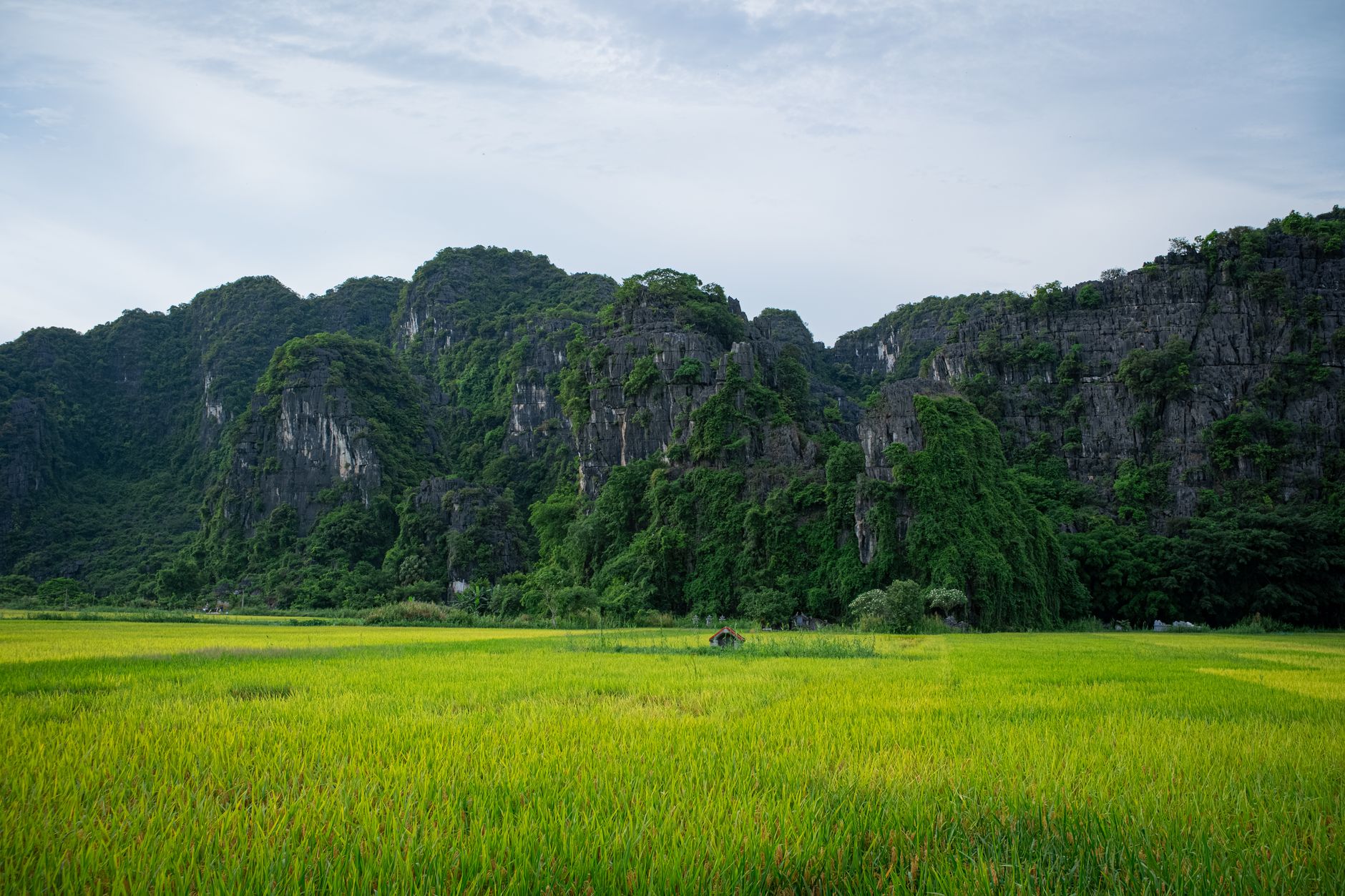 Vietnam