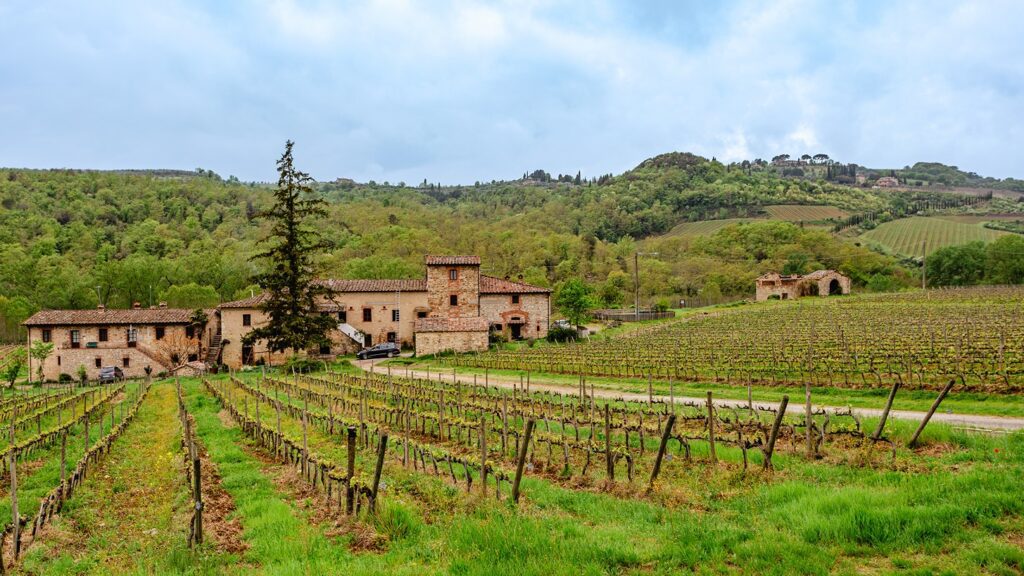 Vignes-toscane-maison-collines