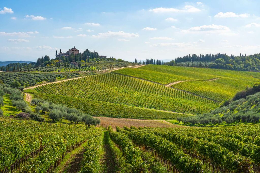 chianti-toscane-vignobles-degustation-vin-famille