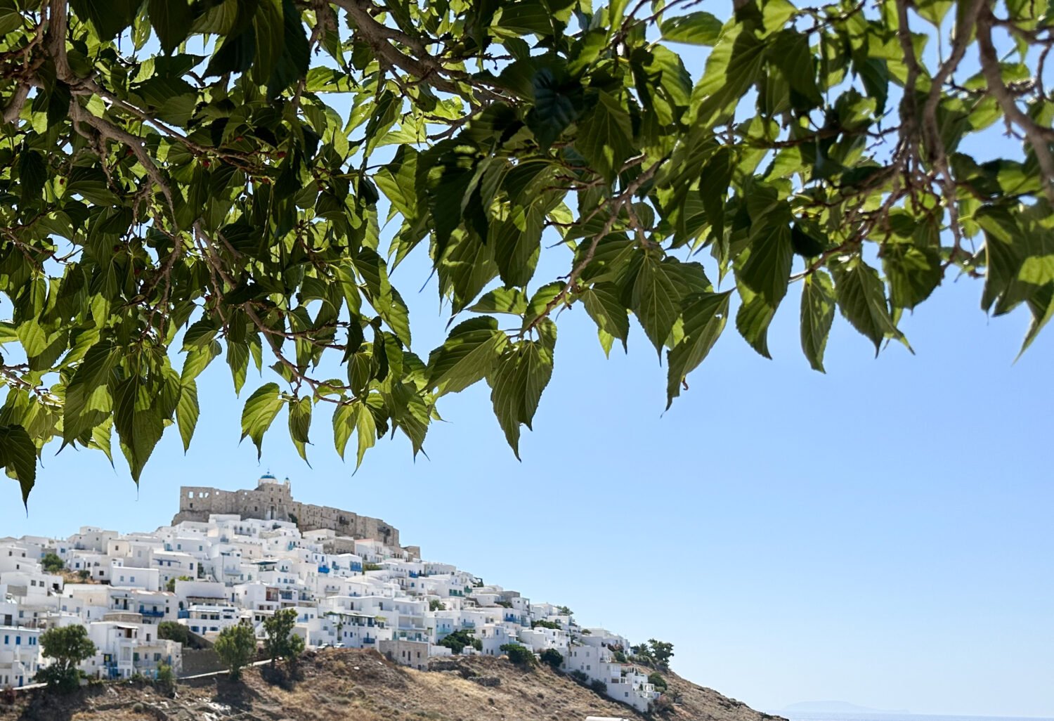 Astypalée, le Papillon Secret de la Grèce : Mon Guide 10/10 (Adieu Santorin !) 🦋